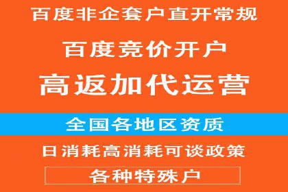 专业竞价SEM托管成功案例解析
